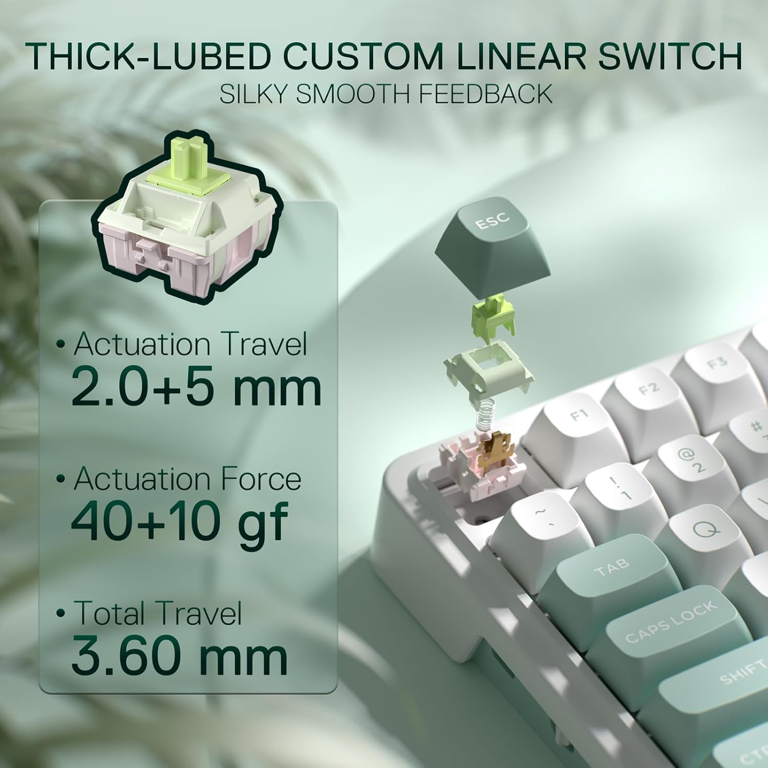Redragon K719 draadloze pakkin - Gaming Keyboard Thocky recensie en prijs